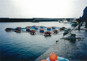04虻羅漁港写真